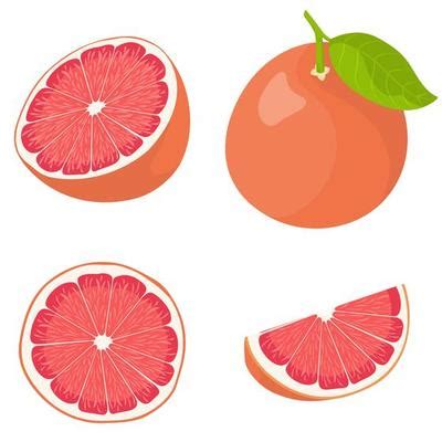 Grapefruit Vector Art, Icons, and Graphics for Free Download