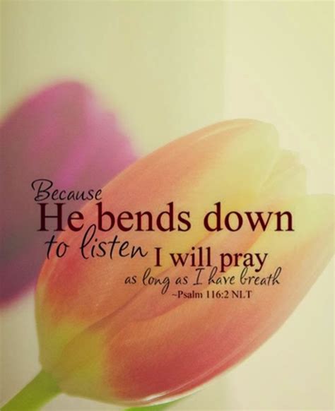 god hears our prayers - Google Search | Scripture quotes, Faith, Scripture verses