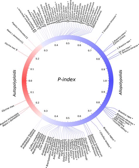 Frontiers | Polyploidy Index and Its Implications for the Evolution of Polyploids