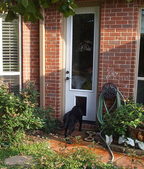 8 ft. Door With Built-In Pet Door and 1 Piece of Glass | Bernuley Built-In Pet Doors