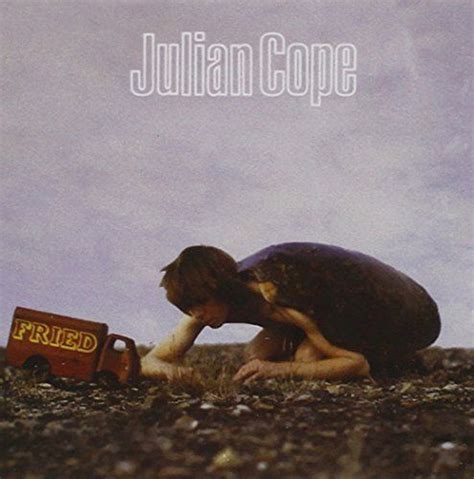 Julian Cope - Fried, c.1984. This is the 2nd solo album by former teardrop Explodes front man ...