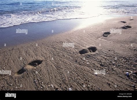 Footprints in beach sand Stock Photo - Alamy