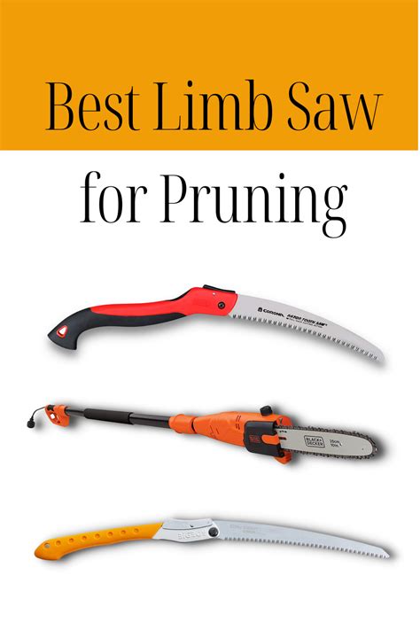 The best limb saw for pruning in 2023 – Artofit