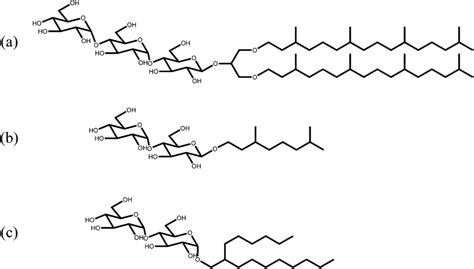 Examples of synthetic branch-chained glycolipids. (a) Double-chained... | Download Scientific ...