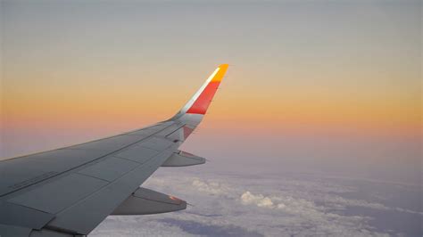 Free photo: Plane Wing - Air, Airplane, Flying - Free Download - Jooinn