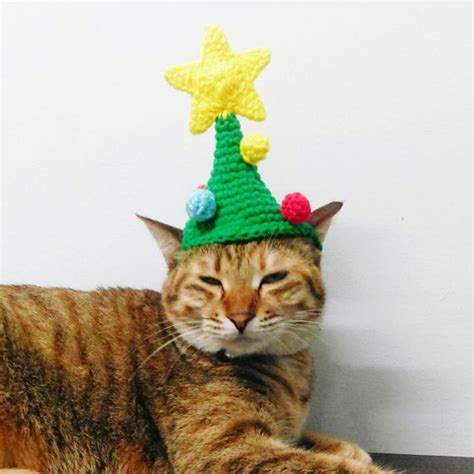 9 Cats Wearing Ridiculous Christmas Hats