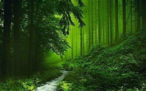 Green Scenery Wallpapers HD - Wallpaper Cave