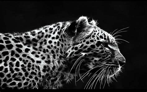 Leopard Art Drawing #6983975