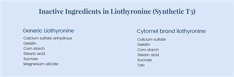 Your Definitive Guide to Thyroid Medication | Paloma Health