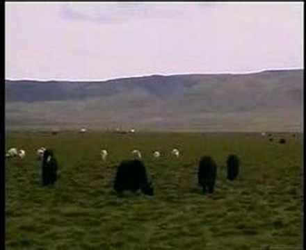 Tibetan Flute - YouTube