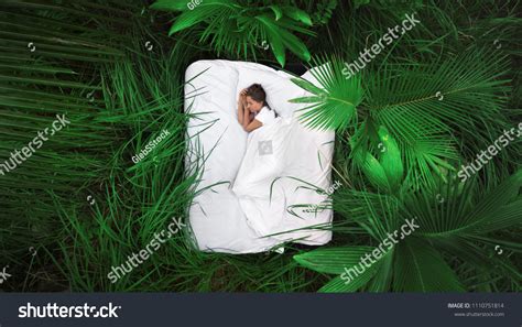 477,669 Nature Sleep Images, Stock Photos & Vectors | Shutterstock