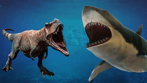 Megalodon Vs T. Rex: Who Would Win In A Fight? | IFLScience