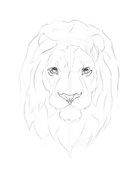 Lion Drawing Face