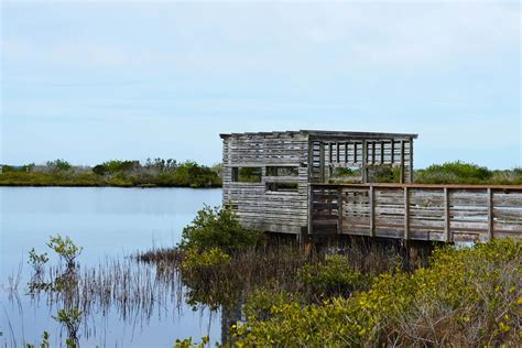 Canaveral National Seashore [A Coastal Kaleidoscope of Charm and ...