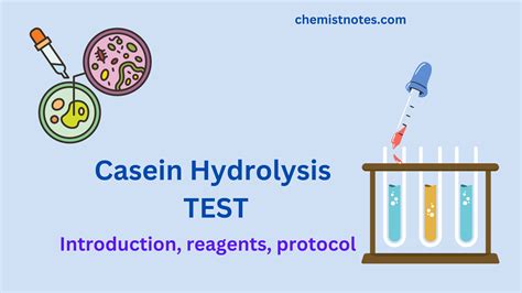 Casein Hydrolysis Test: Principle, Protocol, Reagents, And Reliable Application - Chemistry Notes