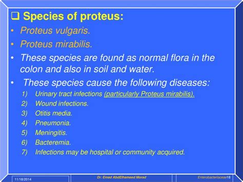 Proteus Mirabilis Treatment