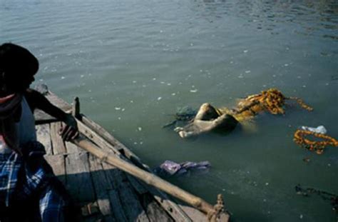 50+ Scary Images Depicting Filth of Varanasi & River Ganges