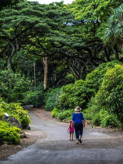 North Shore, Oahu: Finding Magic on Hawaii's Busiest Island - The ...