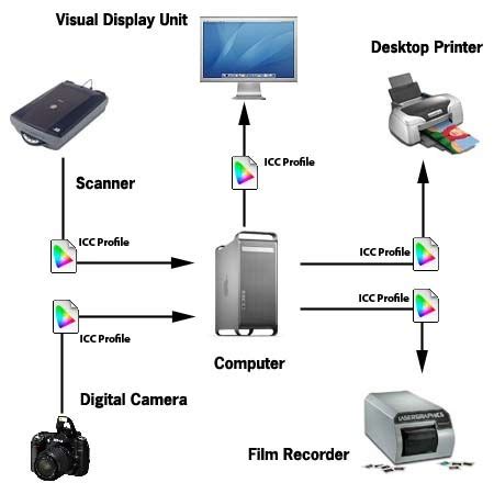 Four Basic Categories of Output Devices of a Computer