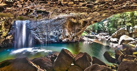 Springbrook National Park: A Comprehensive Guide For Backpackers