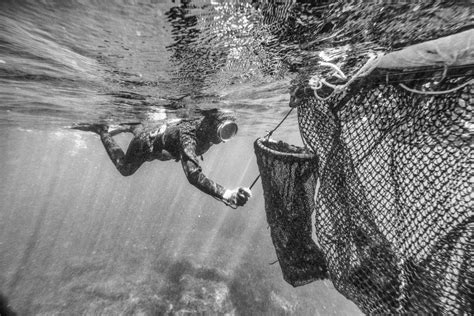 Haenyeo Women Divers Jeju Island Underwater Documentary Photography 3