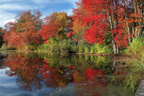 Central Massachusetts Fall Foliage Brillance Photograph by Juergen Roth ...