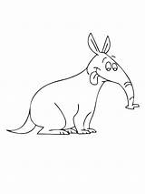 Anteater coloring Pages sketch template