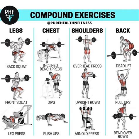 Compound movements | Full body workout routine, Gym workout tips ...