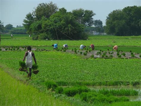 Agricultural science: History In Indian Farmers