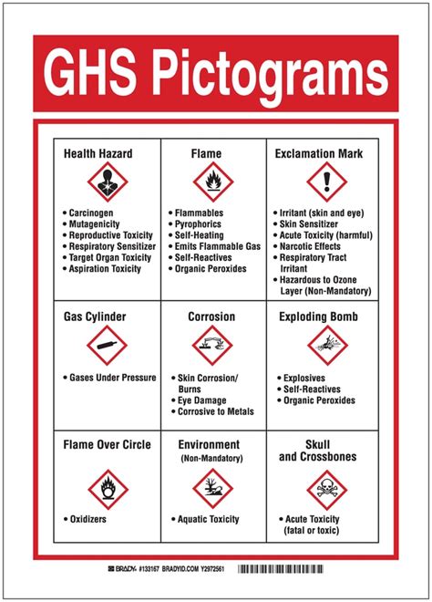 Carcinogen Pictogram