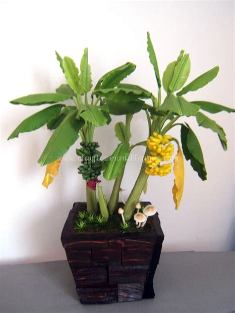 Banana tree | Clay Flower Art Bonsai Ficus, Bonsai Fruit Tree, Bonsai Art, Miniature Fruit Trees ...