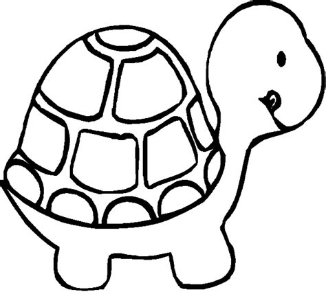 Turtle Line Drawings - ClipArt Best