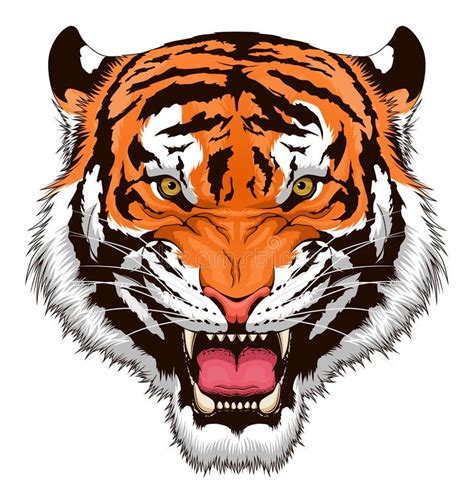 A head of a roaring tiger stock vector. Illustration of tiger - 38215740