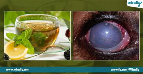 7 Side Effects Of Green Tea You Need To Know About - Wirally