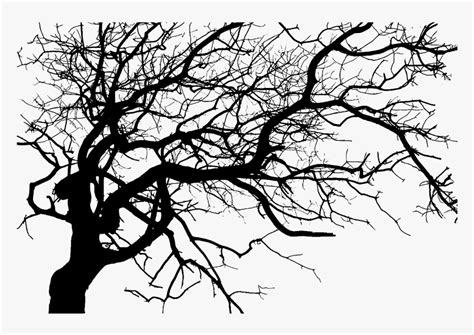 Dark Tree Png - Spooky Tree Silhouette Png, Transparent Png , Transparent Png Image - PNGitem