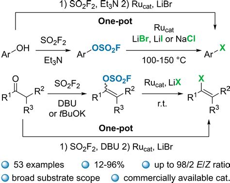 Ruthenium‐Catalyzed Synthesis of Aryl and Alkenyl Halides from Fluorosulfonates - Plaçais - 2023 ...