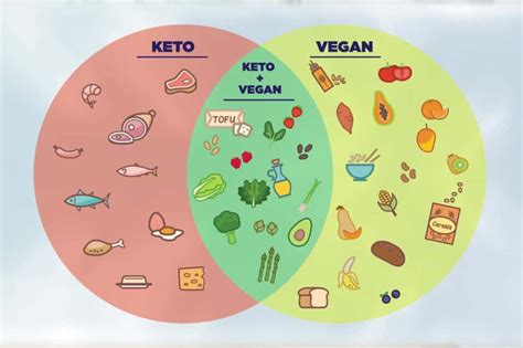 15 Unique Styling Ideas for Your Vegan Keto Meal Plan - Best Product ...