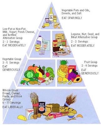 Vegetarian Food Pyramid - Vegetarians Photo (572484) - Fanpop