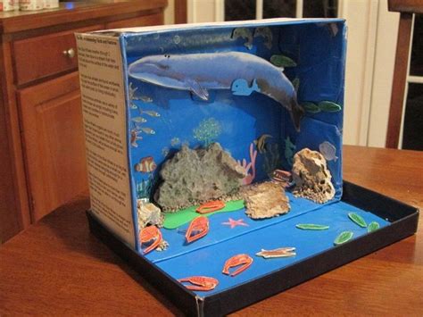 Image result for dolphin project ideas | Diorama kids, Ocean diorama ...