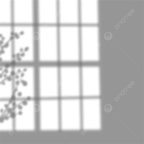 Square Window Silhouette PNG Transparent, Leaf And Square Window Shadow Overlay, Overlay, Shadow ...