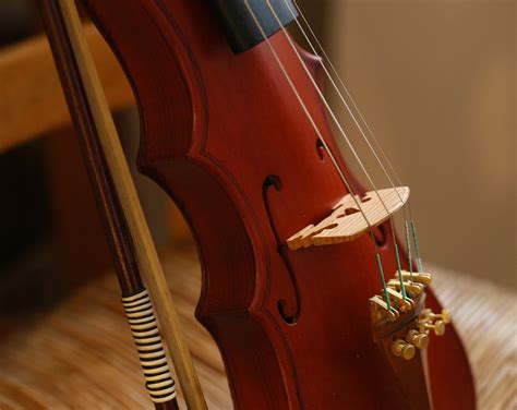 13 Violin Types Every Violinist Should Know - Violinspiration