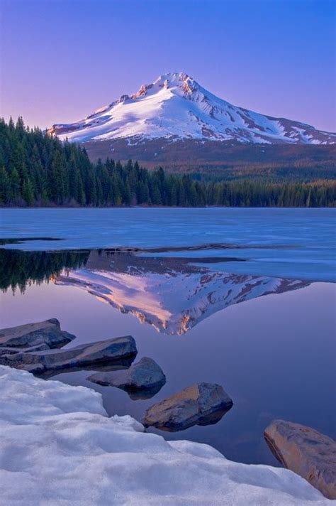 Trillium Lake by Larry Andreasen on 500px | Trillium lake, Scenic, Beautiful nature