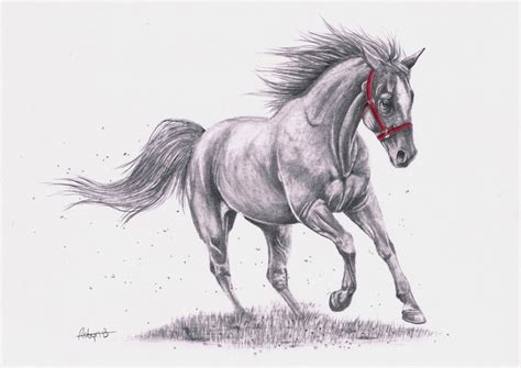 original graphite pencil drawing horse horse running horse