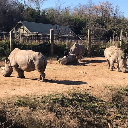 Cameron Park Zoo (Waco) - 2019 All You Need to Know BEFORE You Go (with Photos) - TripAdvisor