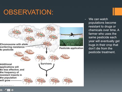 MICROEVOLUTION! - Mrs. Burns Science!