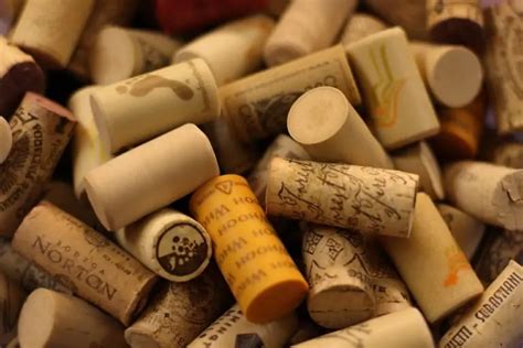 Is Storing Wine with Synthetic Corks Different from Storing Wine with ...