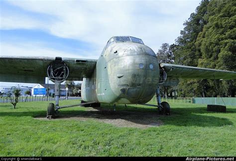 After 60 Years In A Forest Airfield This Decaying Bristol Freighter Will Live Again - World War ...