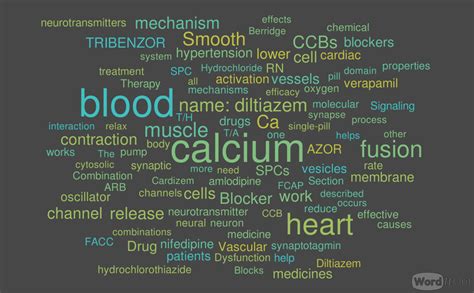 Calcium-Channel Blocker, Calcium as Neurotransmitter Sensor and Calcium Release-related ...