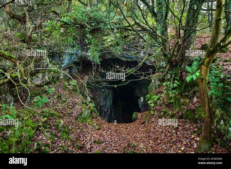 Ancient cave entrance in Jugholes Wood, above Matlock, Derbyshire ...