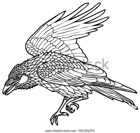 Vector Illustration Walking Raven Tattoo Design Stock Vector (Royalty ...